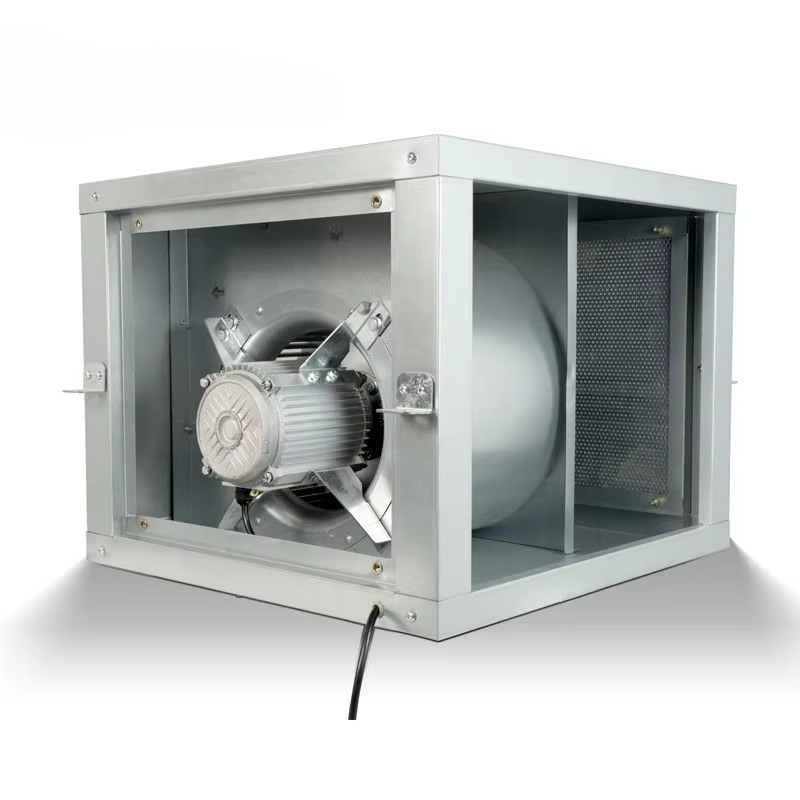 Leistungsstarker Geräuscharmer – Exhaust Fan Industrial Bewertung und Preis